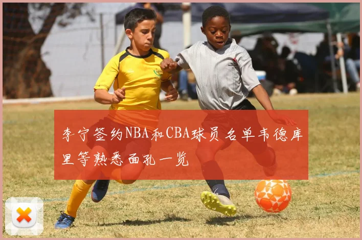 李宁签约NBA和CBA球员名单韦德库里等熟悉面孔一览